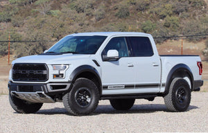 Ford F-150 Raptor 2017 graphics side stripe decal sticker retro Ford Performance